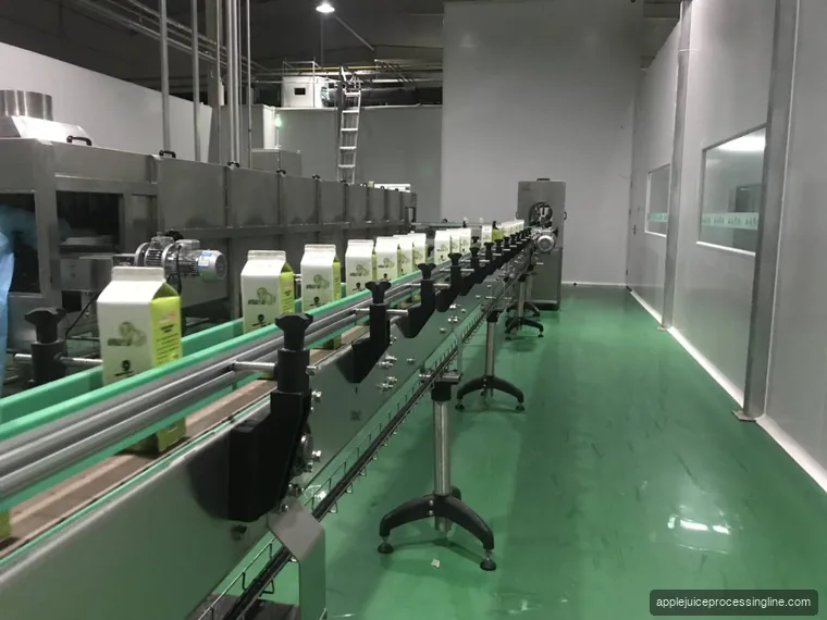Carton filling section with accumulating conveyor