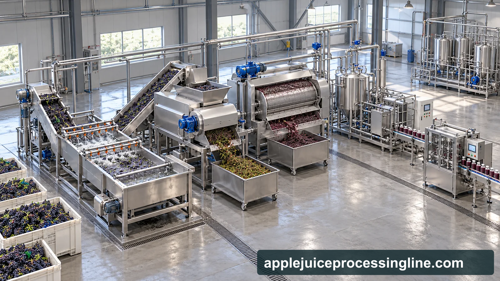 Reference-based conceptual grape juice factory layout showing receiving, fruit-specific preparation, product treatment and packing interfaces